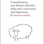 Considérations non dénuées d’intérêt, selon moi, concernant, spécifiquement, le mouton tarbais – Appas