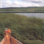 Le lièvre de Vatanen – Arto Paasilinna