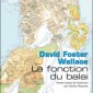 La fonction du balai – David Foster Wallace