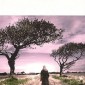 L’annonce – Marie-Hélène Lafon