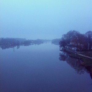 Brouillard