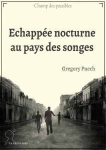 Échappée nocturne au pays des songes - Gregory Puech