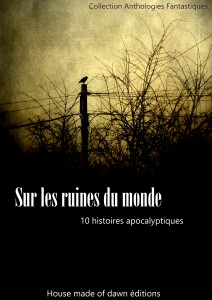 Sur les ruines du monde - Collectif