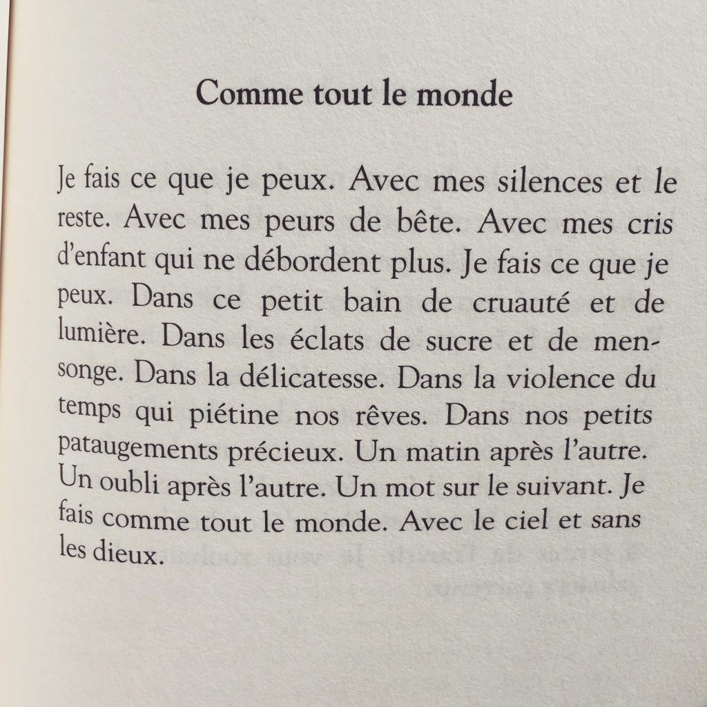 Comme tout le monde - Thomas Vinau